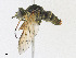  ( - CBG-A24261-D11)  @11 [ ] CreativeCommons - Attribution Share - Alike (2023) CBG Photography Group Centre for Biodiversity Genomics