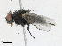  ( - CBG-A24262-C02)  @11 [ ] CreativeCommons - Attribution Share-Alike (2024) CBG Photography Group Centre for Biodiversity Genomics