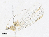  ( - CBG-A24263-C10)  @11 [ ] CreativeCommons - Attribution Share-Alike (2024) CBG Photography Group Centre for Biodiversity Genomics