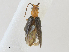  ( - CBG-A24267-B10)  @11 [ ] CreativeCommons - Attribution Share - Alike (2024) CBG Photography Group Centre for Biodiversity Genomics