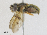  ( - CBG-A24267-E02)  @11 [ ] CreativeCommons - Attribution Share - Alike (2024) CBG Photography Group Centre for Biodiversity Genomics