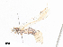  ( - CBG-A27537-H02)  @11 [ ] CreativeCommons - Attribution Share - Alike (2024) CBG Photography Group Centre for Biodiversity Genomics