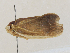  ( - CBG-A27538-B01)  @11 [ ] CreativeCommons - Attribution Share - Alike (2024) CBG Photography Group Centre for Biodiversity Genomics