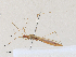  ( - CBG-A27542-B03)  @11 [ ] CreativeCommons - Attribution Share - Alike (2024) CBG Photography Group Centre for Biodiversity Genomics