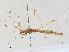  ( - CBG-A27542-B04)  @11 [ ] CreativeCommons - Attribution Share - Alike (2024) CBG Photography Group Centre for Biodiversity Genomics