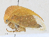  ( - CBG-A27542-E07)  @11 [ ] CreativeCommons - Attribution Share - Alike (2024) CBG Photography Group Centre for Biodiversity Genomics