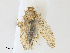  ( - CBG-A27542-F09)  @11 [ ] CreativeCommons - Attribution Share - Alike (2024) CBG Photography Group Centre for Biodiversity Genomics
