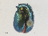  ( - CBG-A27543-E01)  @11 [ ] CreativeCommons - Attribution Share - Alike (2024) CBG Photography Group Centre for Biodiversity Genomics