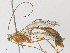  ( - CBG-A27544-C08)  @11 [ ] CreativeCommons - Attribution Share - Alike (2024) CBG Photography Group Centre for Biodiversity Genomics