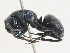  ( - CBG-A27546-B03)  @11 [ ] CreativeCommons - Attribution Share - Alike (2024) CBG Photography Group Centre for Biodiversity Genomics