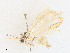  ( - CBG-A27546-D02)  @11 [ ] CreativeCommons - Attribution Share - Alike (2024) CBG Photography Group Centre for Biodiversity Genomics