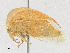  ( - CBG-A27547-E10)  @11 [ ] CreativeCommons - Attribution Share - Alike (2024) CBG Photography Group Centre for Biodiversity Genomics