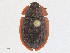  ( - CBG-A27548-A06)  @11 [ ] CreativeCommons - Attribution Share - Alike (2024) CBG Photography Group Centre for Biodiversity Genomics