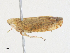  ( - CBG-A27548-F01)  @11 [ ] CreativeCommons - Attribution Share - Alike (2024) CBG Photography Group Centre for Biodiversity Genomics