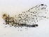  ( - CBG-A27548-G04)  @11 [ ] CreativeCommons - Attribution Share - Alike (2024) CBG Photography Group Centre for Biodiversity Genomics