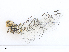  ( - CBG-A27548-H01)  @11 [ ] CreativeCommons - Attribution Share - Alike (2024) CBG Photography Group Centre for Biodiversity Genomics