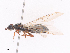 ( - CBG-A27629-G01)  @11 [ ] CreativeCommons - Attribution Share-Alike (2024) CBG Photography Group Centre for Biodiversity Genomics