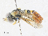  ( - CBG-A27631-H03)  @11 [ ] CreativeCommons - Attribution Share - Alike (2024) CBG Photography Group Centre for Biodiversity Genomics