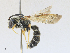  ( - CBG-A30073-G02)  @11 [ ] CreativeCommons - Attribution Share - Alike (2024) CBG Photography Group Centre for Biodiversity Genomics
