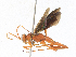  ( - CBG-A30075-H04)  @11 [ ] CreativeCommons - Attribution Share - Alike (2024) CBG Photography Group Centre for Biodiversity Genomics