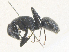  ( - CBG-A35179-B02)  @11 [ ] CreativeCommons - Attribution Share - Alike (2024) CBG Photography Group Centre for Biodiversity Genomics
