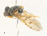  ( - CBG-A36824-D01)  @11 [ ] CreativeCommons - Attribution Share - Alike (2024) CBG Photography Group Centre for Biodiversity Genomics