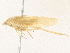  ( - CBG-A38524-H08)  @11 [ ] CreativeCommons - Attribution Share - Alike (2024) CBG Photography Group Centre for Biodiversity Genomics