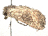  ( - CBG-A44341-G05)  @11 [ ] CreativeCommons - Attribution (2024) CBG Photography Group Centre for Biodiversity Genomics