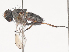  ( - CBG-A44344-A12)  @11 [ ] CreativeCommons - Attribution Share - Alike (2024) CBG Photography Group Centre for Biodiversity Genomics