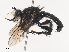 ( - CBG-A44368-D12)  @11 [ ] CreativeCommons - Attribution Share - Alike (2024) CBG Photography Group Centre for Biodiversity Genomics