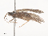  ( - CBG-A44412-D10)  @11 [ ] CreativeCommons - Attribution Share - Alike (2024) CBG Photography Group Centre for Biodiversity Genomics