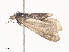  ( - CBG-A44413-D06)  @11 [ ] CreativeCommons - Attribution Share - Alike (2024) CBG Photography Group Centre for Biodiversity Genomics