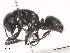  ( - CBG-A44416-G12)  @11 [ ] CreativeCommons - Attribution Share-Alike (2024) CBG Photography Group Centre for Biodiversity Genomics