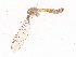  ( - CBG-A44439-H04)  @11 [ ] CreativeCommons - Attribution Share - Alike (2024) CBG Photography Group Centre for Biodiversity Genomics