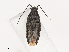  ( - CBG-A45169-A06)  @11 [ ] CreativeCommons - Attribution Share - Alike (2024) CBG Photography Group Centre for Biodiversity Genomics