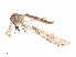  ( - CBG-A45170-H07)  @11 [ ] CreativeCommons - Attribution Share - Alike (2024) CBG Photography Group Centre for Biodiversity Genomics