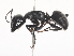  ( - CBG-A45174-B11)  @11 [ ] CreativeCommons - Attribution Share - Alike (2024) CBG Photography Group Centre for Biodiversity Genomics