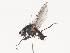  ( - CBG-A45209-A03)  @11 [ ] CreativeCommons - Attribution Share - Alike (2024) CBG Photography Group Centre for Biodiversity Genomics