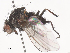  ( - CBG-A45209-F11)  @11 [ ] CreativeCommons - Attribution Share - Alike (2024) CBG Photography Group Centre for Biodiversity Genomics