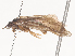  ( - CBG-A45213-H01)  @11 [ ] CreativeCommons - Attribution Share - Alike (2024) CBG Photography Group Centre for Biodiversity Genomics