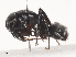  ( - CBG-A45219-B11)  @11 [ ] CreativeCommons - Attribution Share - Alike (2024) CBG Photography Group Centre for Biodiversity Genomics