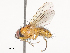  ( - CBG-A46905-C01)  @11 [ ] CreativeCommons - Attribution Share - Alike (2024) CBG Photography Group Centre for Biodiversity Genomics