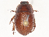 ( - CBG-A46905-D11)  @11 [ ] CreativeCommons - Attribution Share - Alike (2024) CBG Photography Group Centre for Biodiversity Genomics