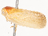  ( - CBG-A46905-G03)  @11 [ ] CreativeCommons - Attribution Share - Alike (2024) CBG Photography Group Centre for Biodiversity Genomics