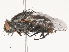  ( - CBG-A48507-A11)  @11 [ ] CreativeCommons - Attribution Share - Alike (2024) CBG Photography Group Centre for Biodiversity Genomics