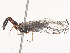  ( - CBG-A51913-C01)  @11 [ ] CreativeCommons - Attribution Share - Alike (2024) CBG Photography Group Centre for Biodiversity Genomics