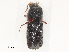  ( - CBG-A51915-H07)  @11 [ ] CreativeCommons - Attribution Share - Alike (2024) CBG Photography Group Centre for Biodiversity Genomics