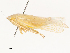  ( - CBG-A51921-C08)  @11 [ ] CreativeCommons - Attribution Share - Alike (2024) CBG Photography Group Centre for Biodiversity Genomics