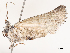  ( - CBG-A51921-F05)  @11 [ ] CreativeCommons - Attribution Share - Alike (2024) CBG Photography Group Centre for Biodiversity Genomics