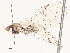  ( - CBG-A51922-G09)  @11 [ ] CreativeCommons - Attribution Share - Alike (2024) CBG Photography Group Centre for Biodiversity Genomics